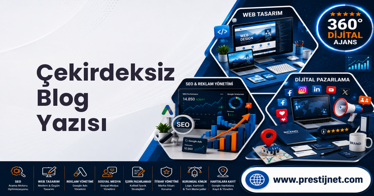 Çekirdeksiz Blog Yazısı