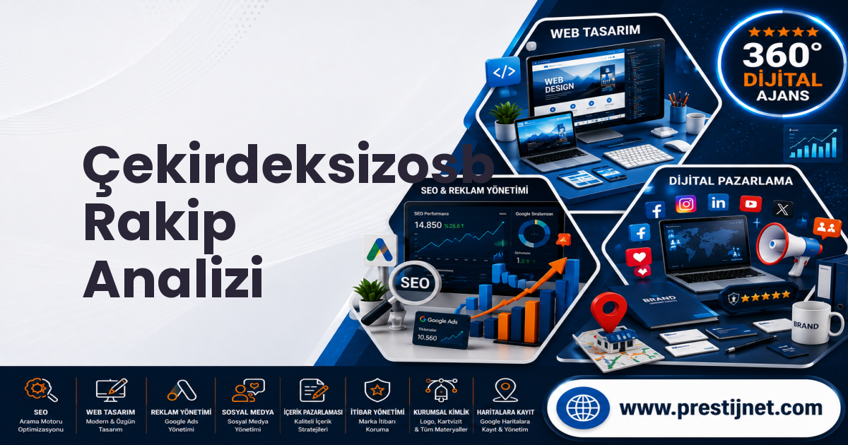 Çekirdeksizosb Rakip Analizi