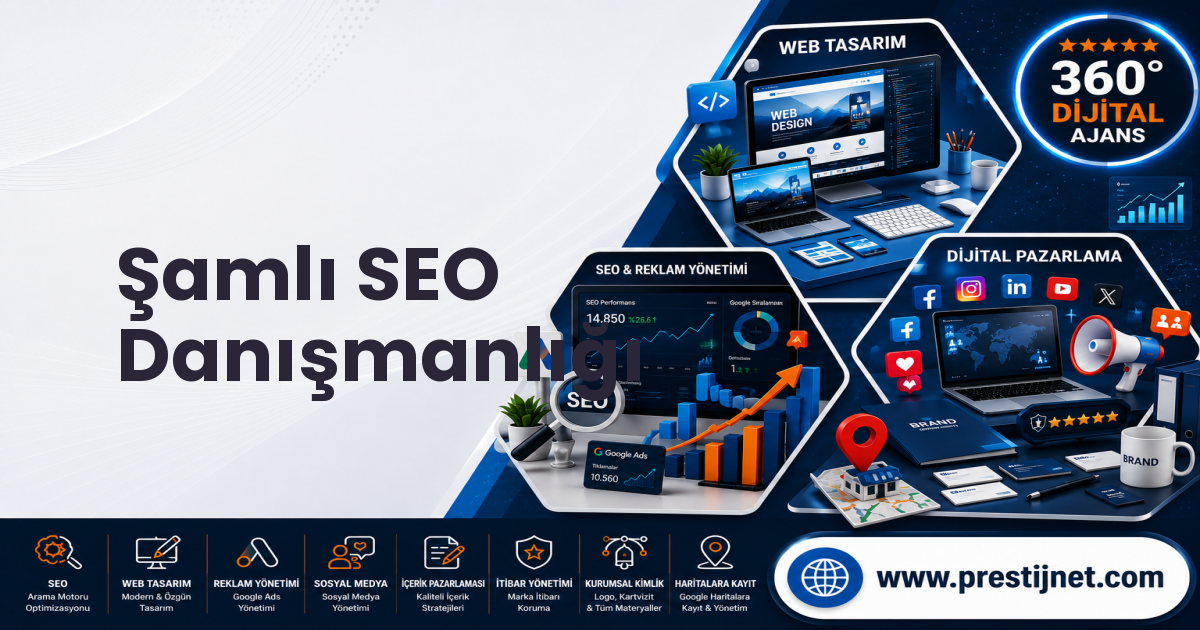 Şamlı SEO Danışmanlığı