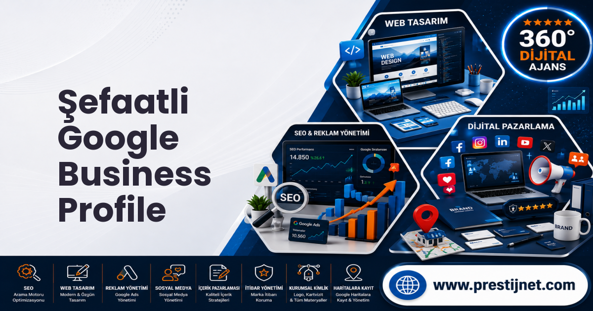 Şefaatli Google Business Profile