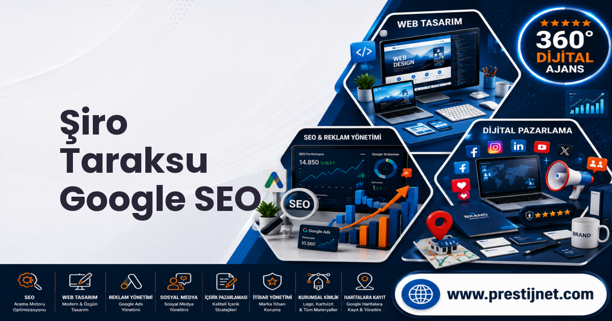 Şiro Taraksu Google SEO