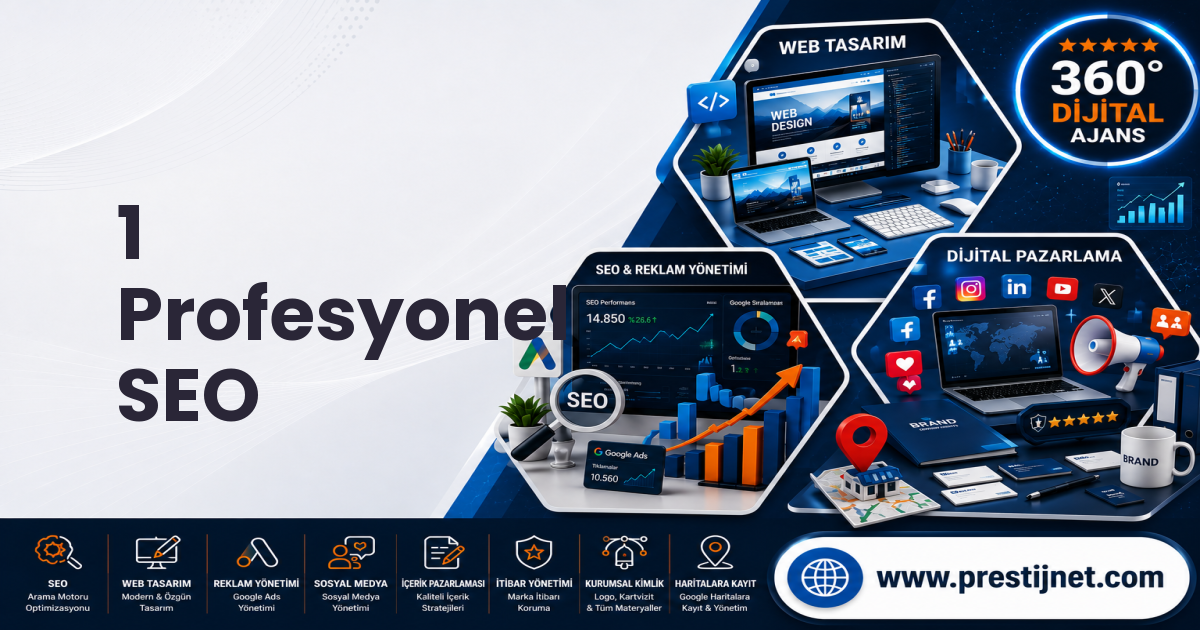 1 Profesyonel SEO