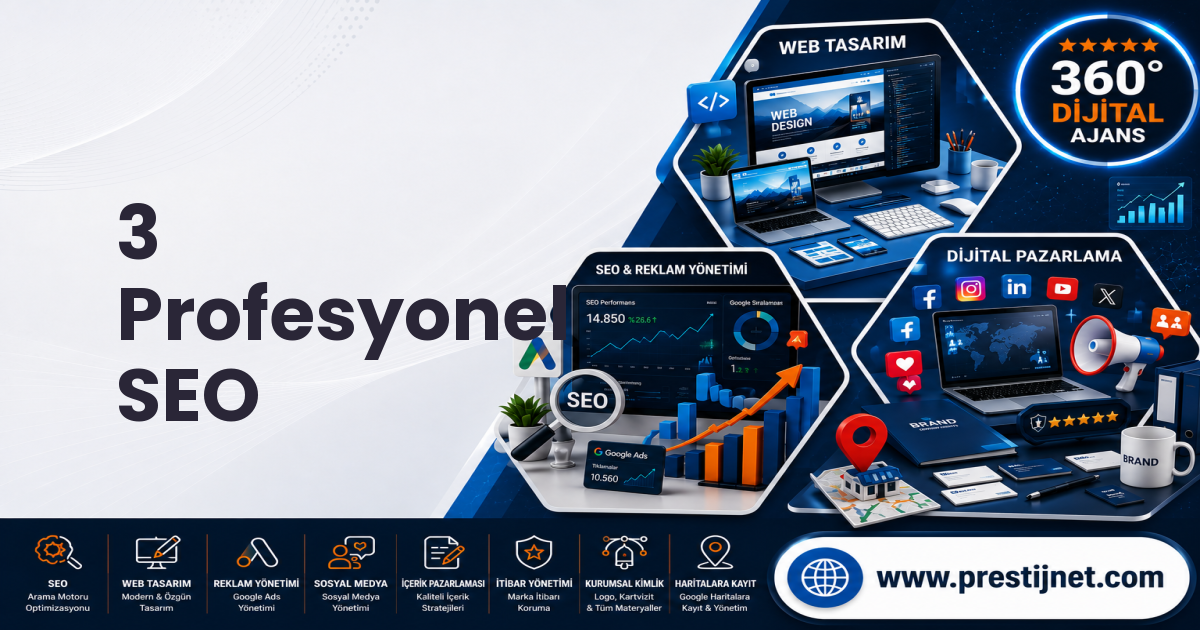 3 Profesyonel SEO