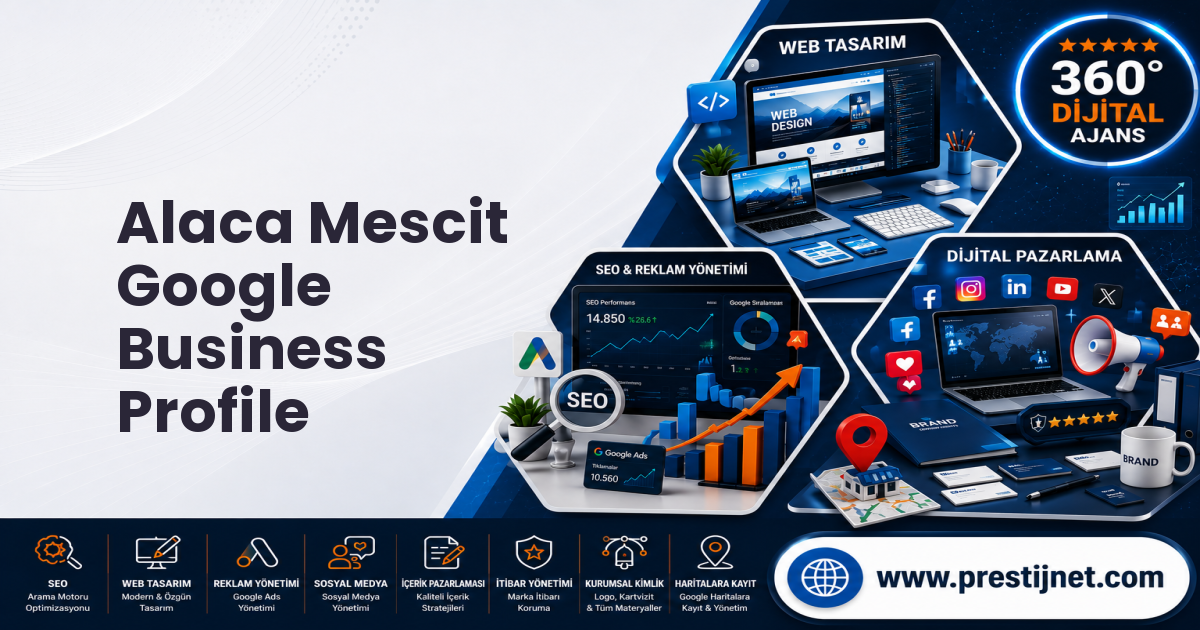 Alaca Mescit Google Business Profile