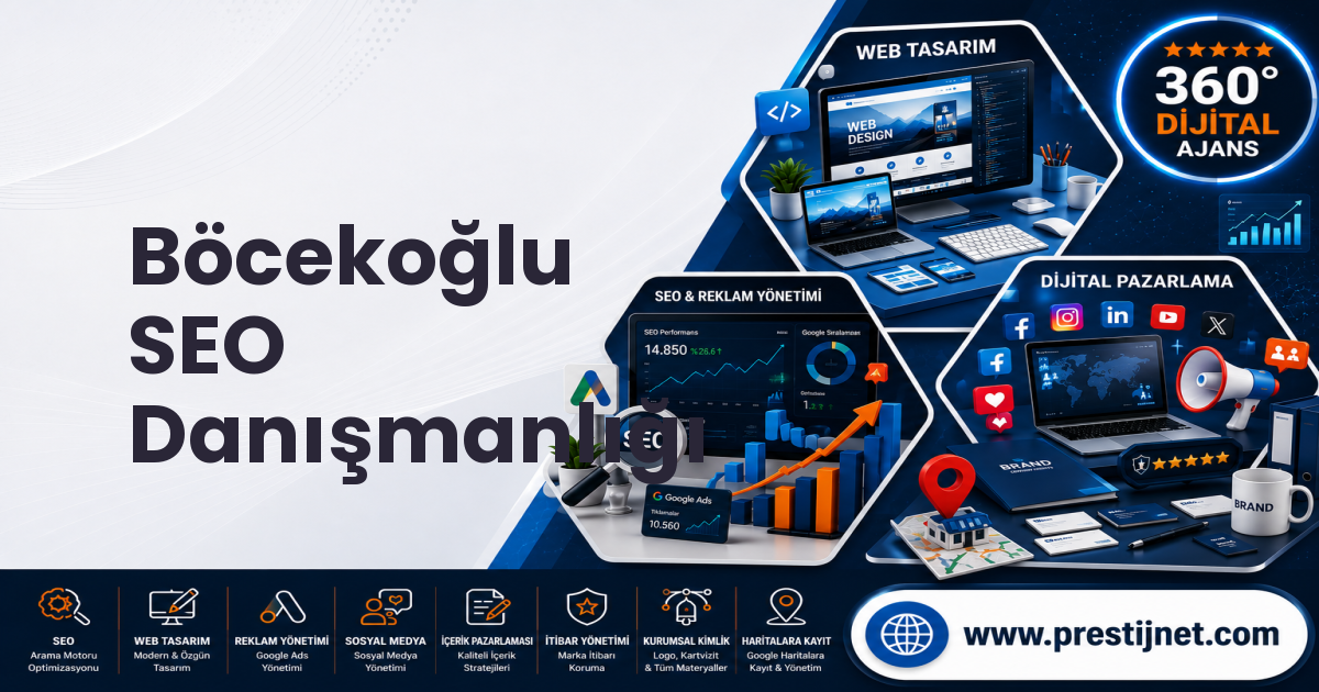 Böcekoğlu SEO Danışmanlığı