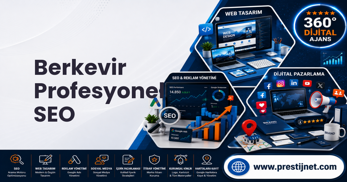 Berkevir Profesyonel SEO