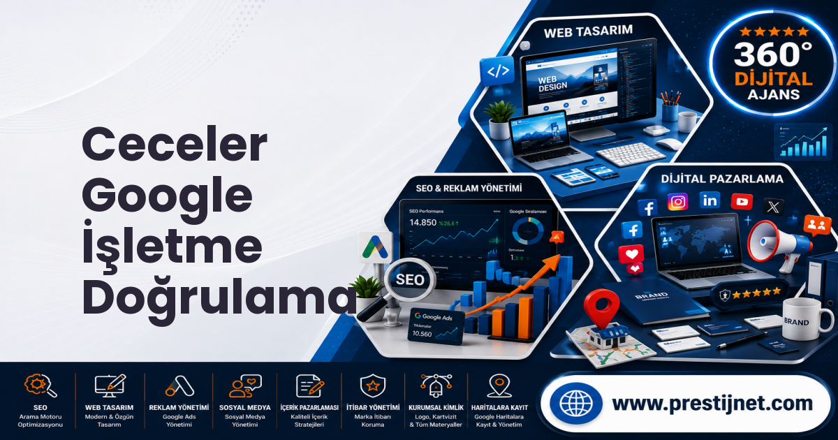 Ceceler Google İşletme Doğrulama