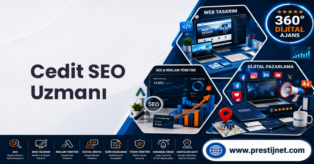 Cedit SEO Uzmanı