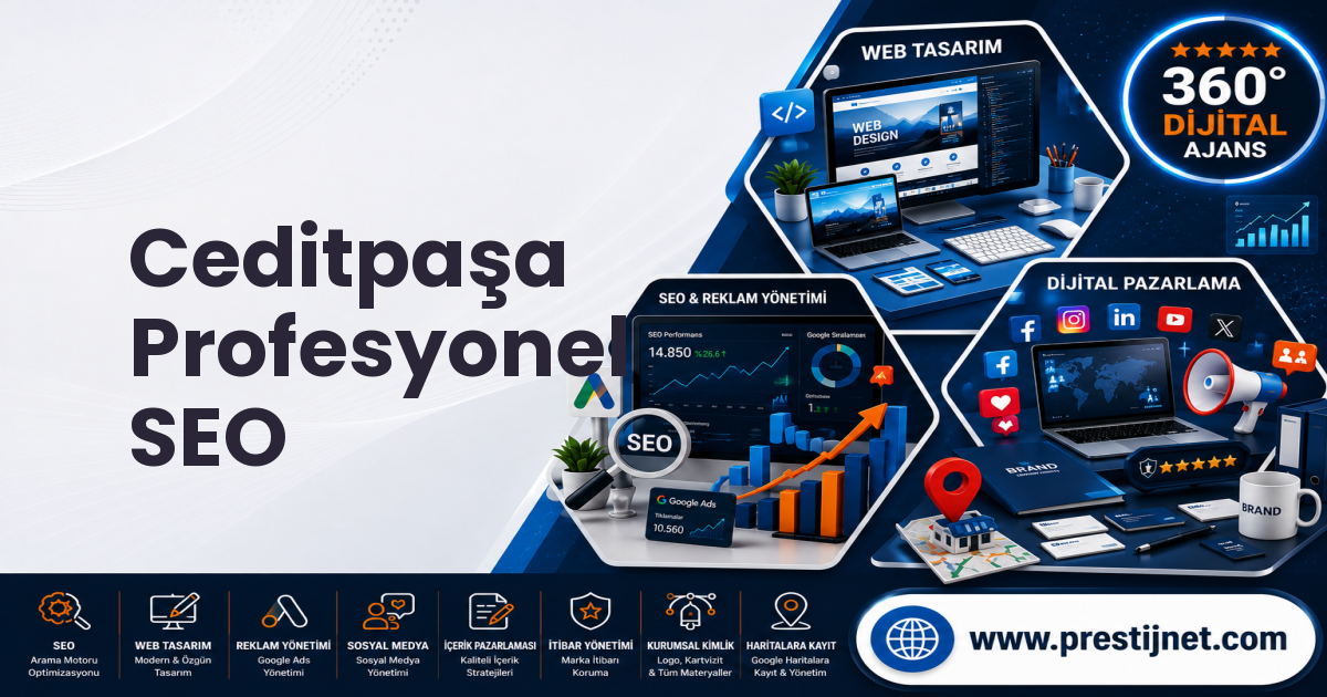 Ceditpaşa Profesyonel SEO