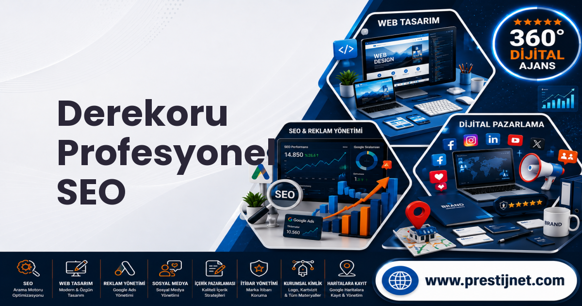 Derekoru Profesyonel SEO