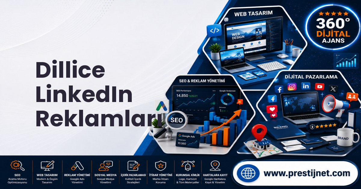 Dillice LinkedIn Reklamları