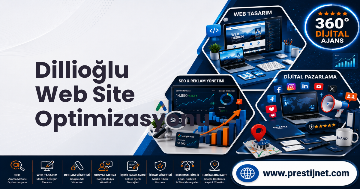 Dillioğlu Web Site Optimizasyonu