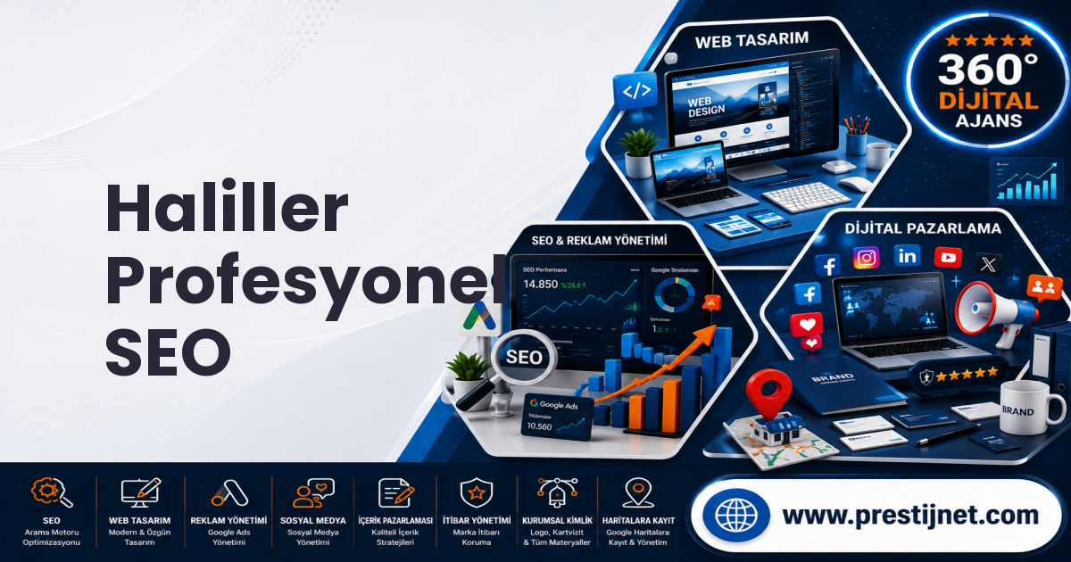 Haliller Profesyonel SEO
