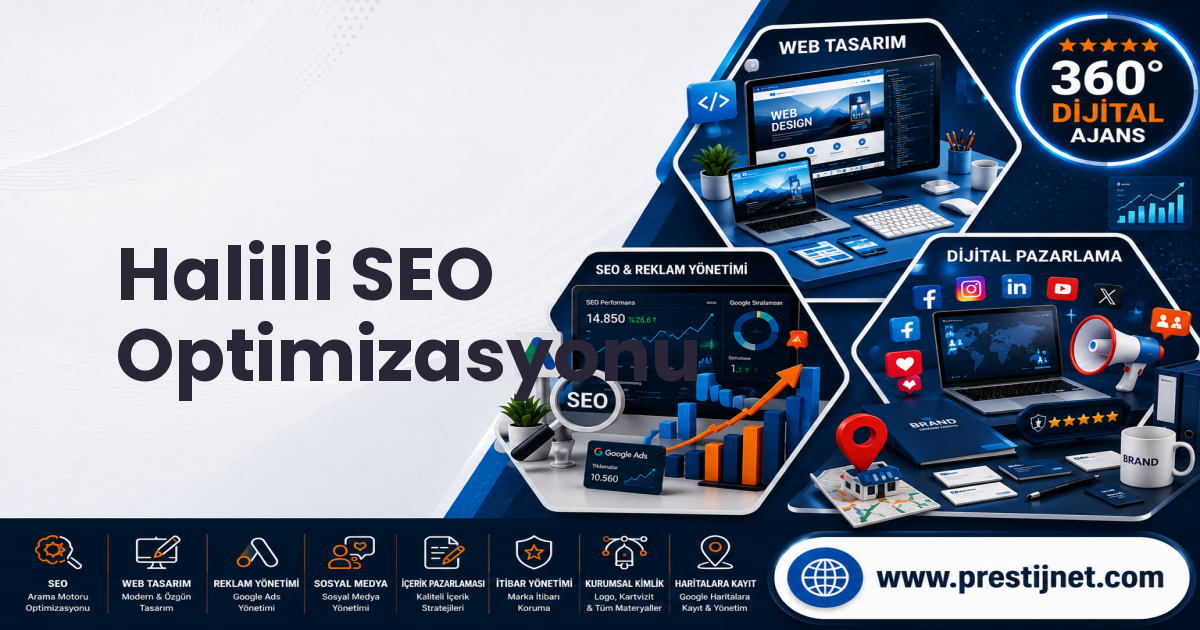 Halilli SEO Optimizasyonu