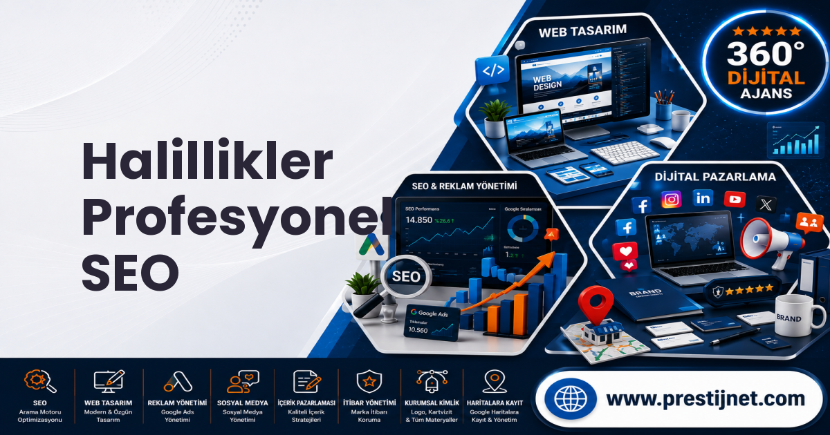 Halillikler Profesyonel SEO
