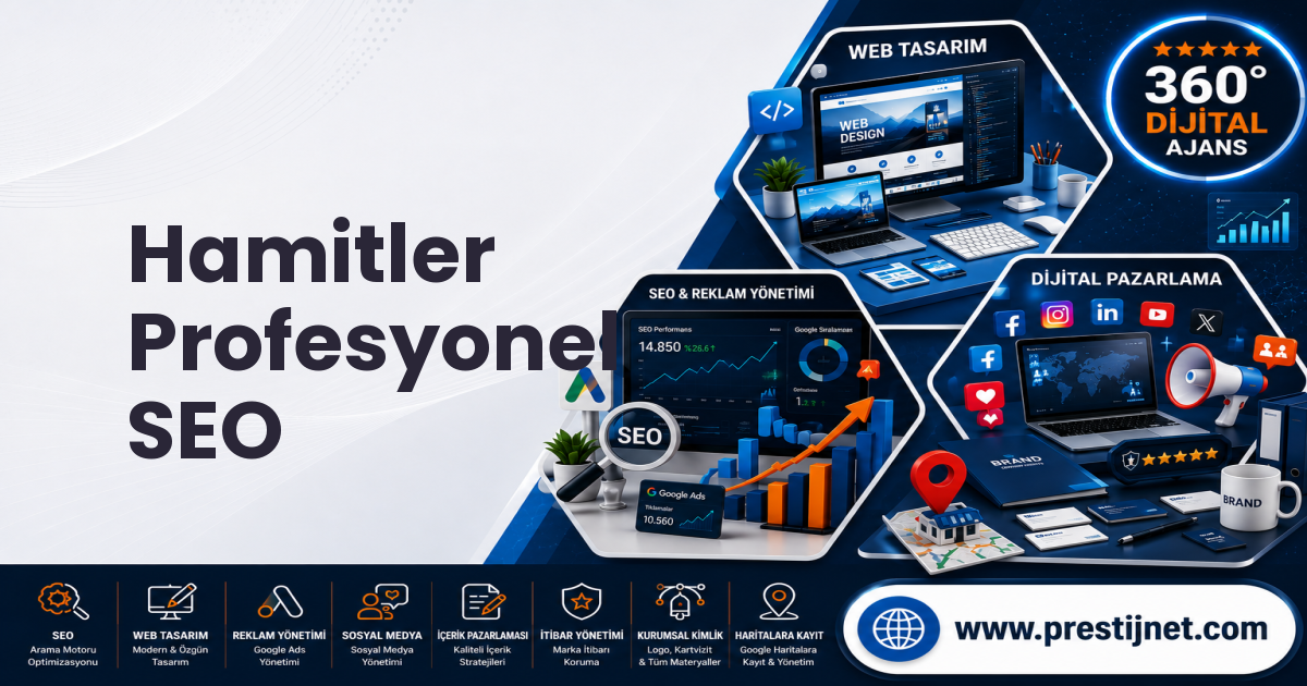 Hamitler Profesyonel SEO