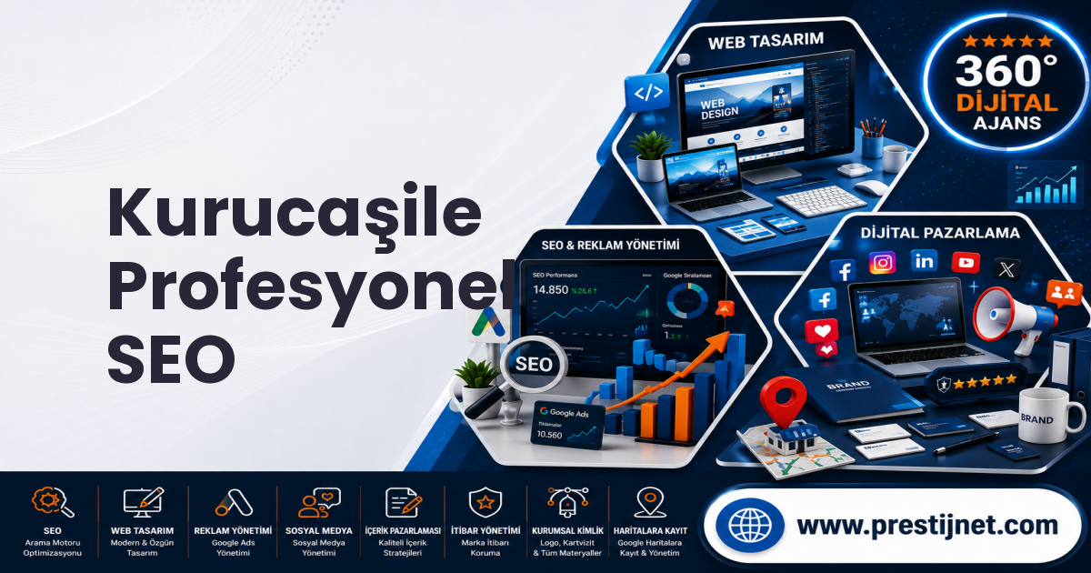 Kurucaşile Profesyonel SEO
