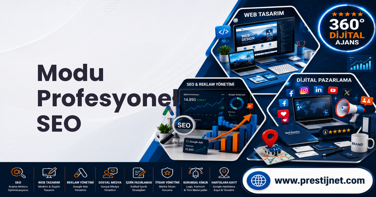 Modu Profesyonel SEO