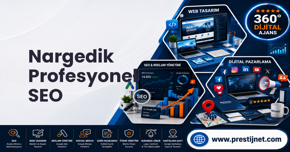 Nargedik Profesyonel SEO