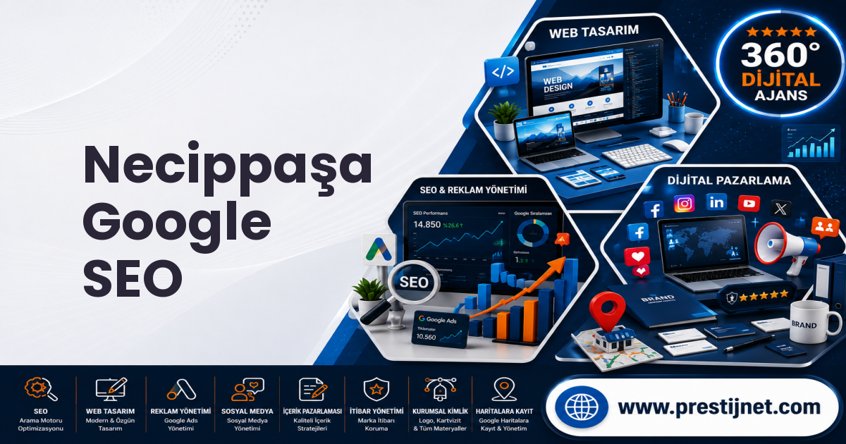 Necippaşa Google SEO
