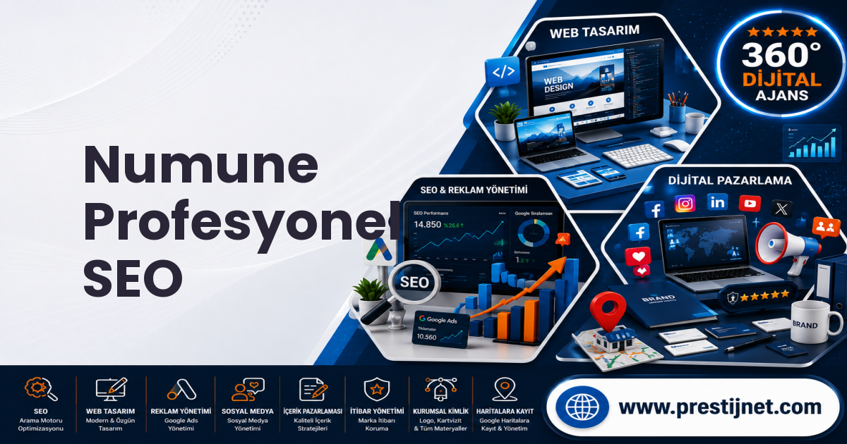 Numune Profesyonel SEO