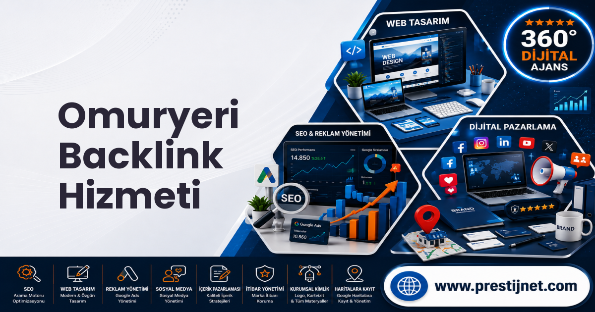 Omuryeri Backlink Hizmeti