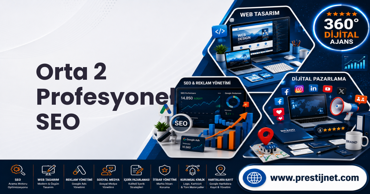 Orta 2 Profesyonel SEO