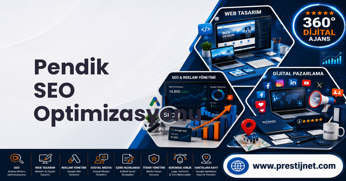 Pendik SEO Optimizasyonu