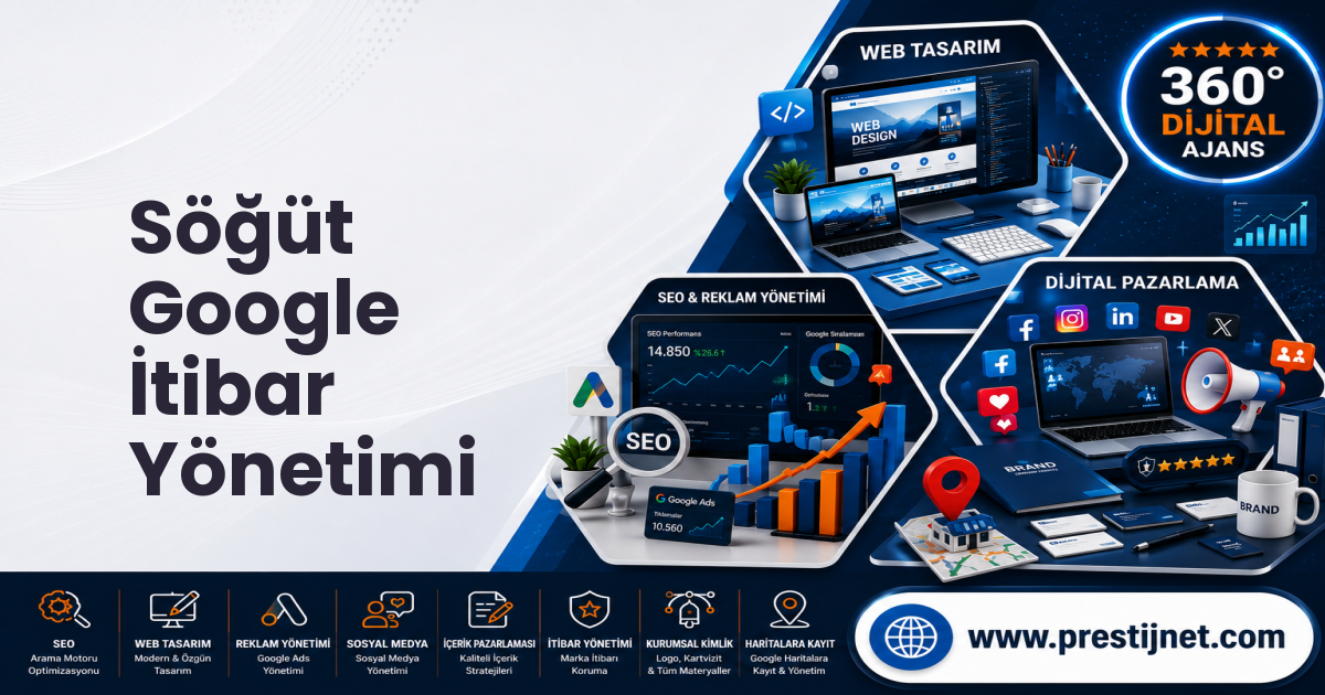 Söğüt Google İtibar Yönetimi
