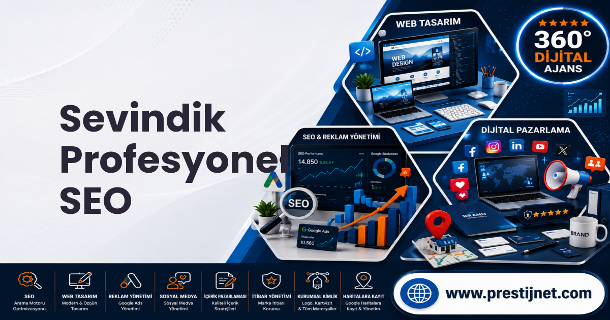 Sevindik Profesyonel SEO