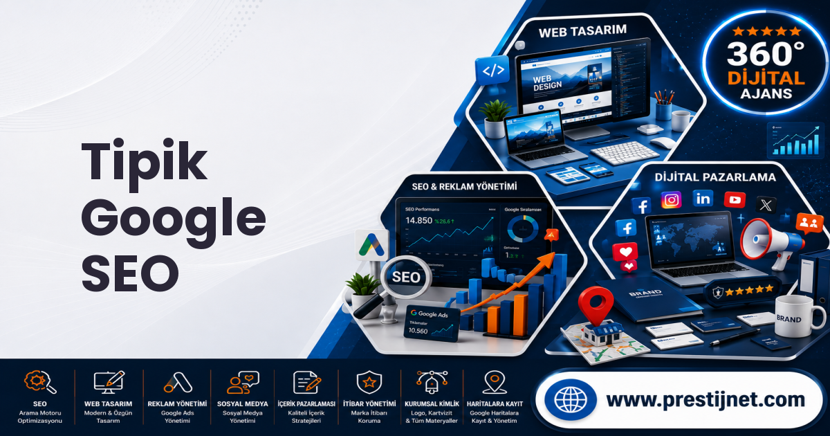 Tipik Google SEO