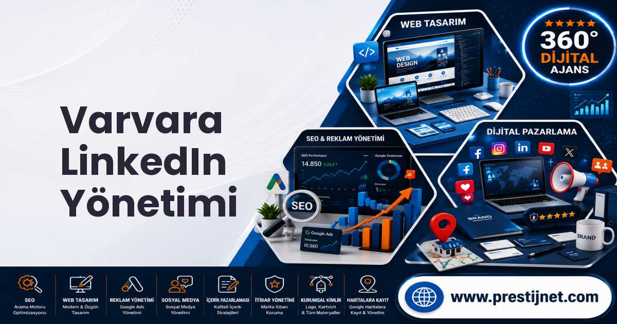 Varvara LinkedIn Yönetimi
